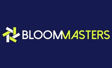 demi-final demi-final